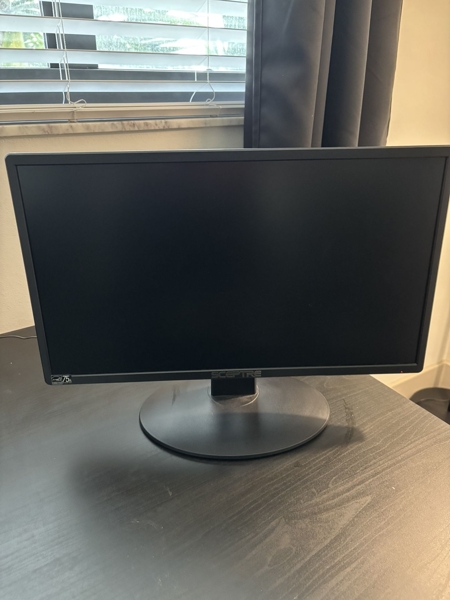 Sceptre 20” LED Monitor