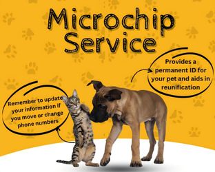 Animal Microchip Service
