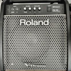 Roland PM-100 Compact Electronic V-Drum Set Monitor