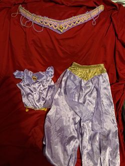 Disney Jasmine Costume