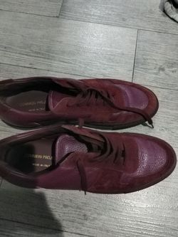 Common project size 9 1/2 shoes