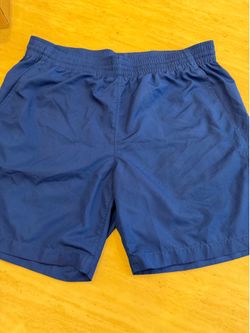 louis vuitton swim short