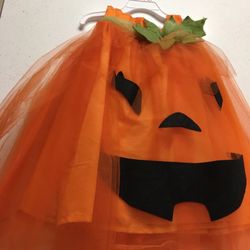 Pumpkin Costume Pottery Barn