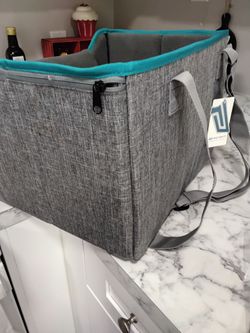Pet car seat