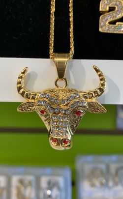 Stainless Steel Chain and BULL Charm Set