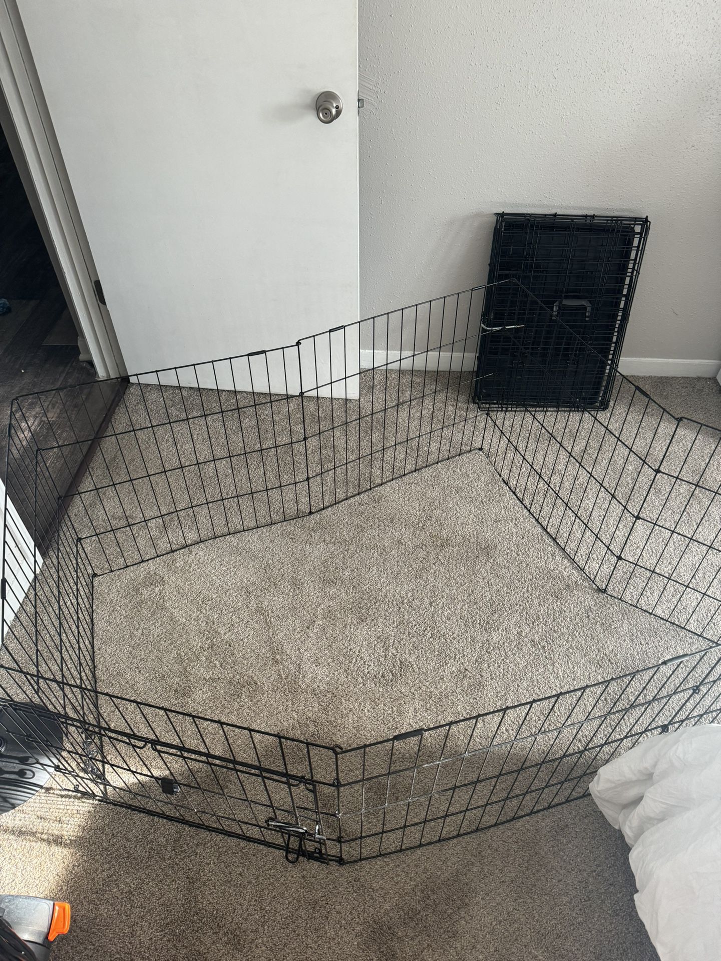 Dog Crate Area NEED GONE IMMEDIATELY 