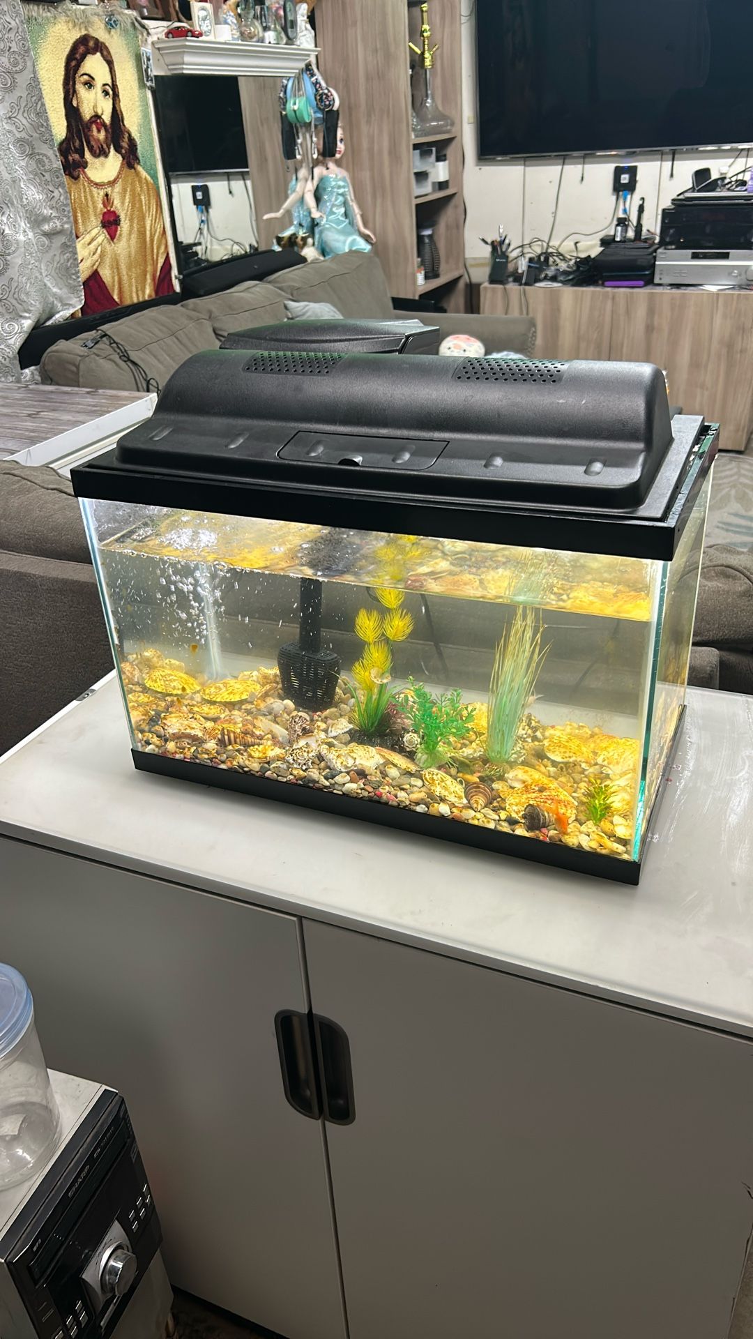 Fish tank