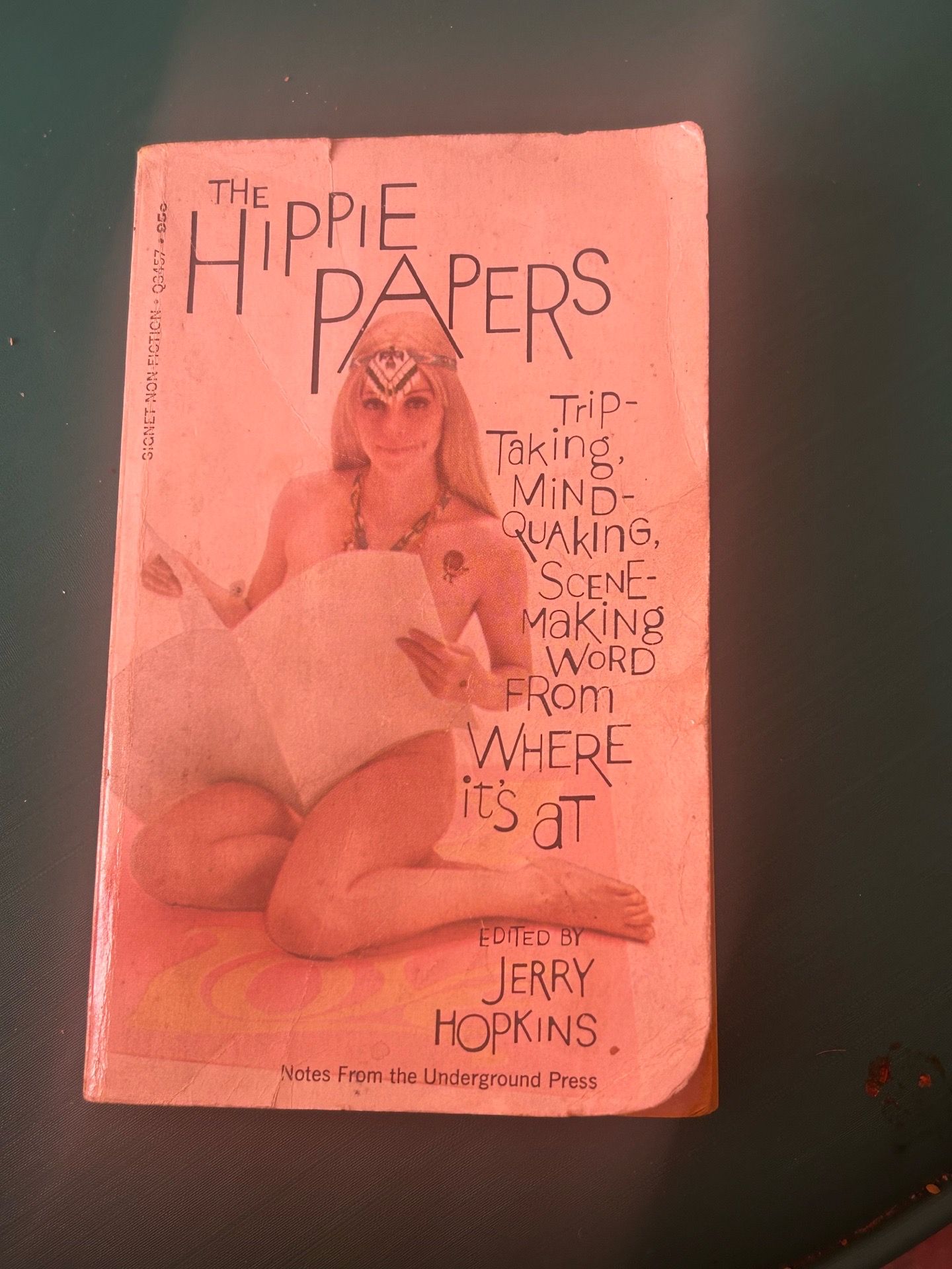 Submerge yourself in subculture; Pretty Rare Underground Paperback Book: