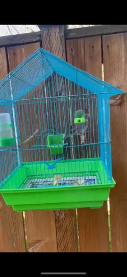 Bird Cage For Sale