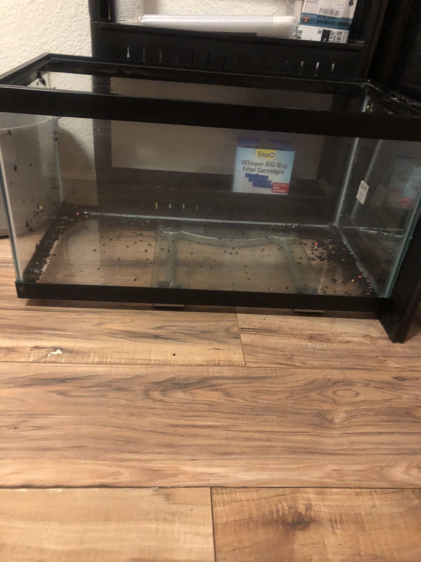 20 Gallon Fish Tank