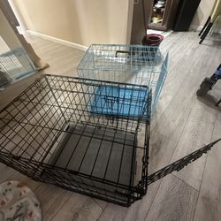 Dog Crates 