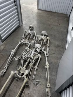 3 life size skeletons