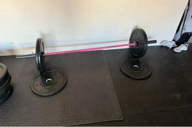 Rogue Bella barbell 2.0