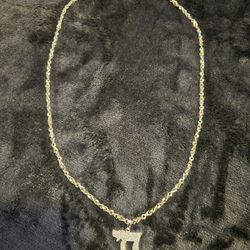 18k White Gold Sauro Necklace 