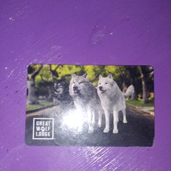 $250.00. Great Wolf Lodge Card 