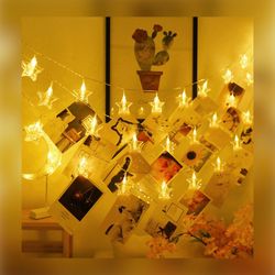 20ft Star LED Fairy 40 Photo Clips USB/Battery Powered