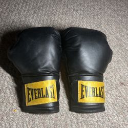 14 Oz Boxing Gloves 