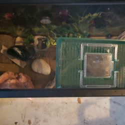 Aquarium For Sale