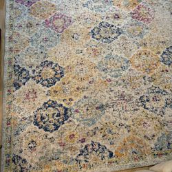 Safevieh 6 x 9 Area rug