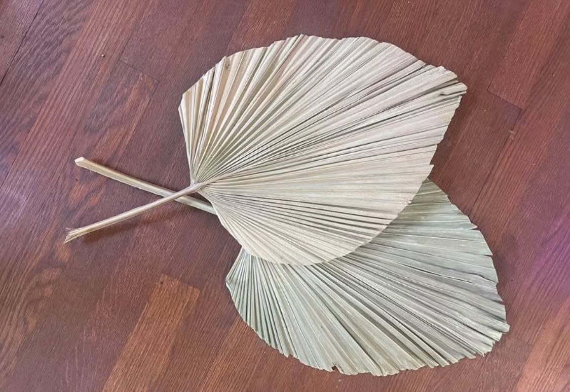 Two Dried Palms