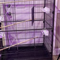 Cage  Jaulas 