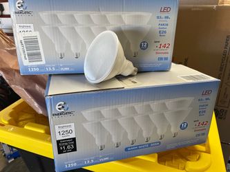 LED Outdoor flood light - par38 - energetic 3000k