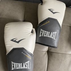 Everlast Boxing Gloves 