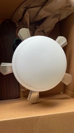 Ceiling fan