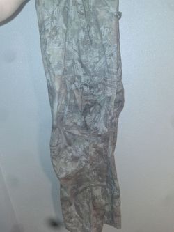 Cargo pants