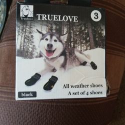 All weather shoes for dogs