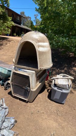 Free dog igloo & crate/kennel