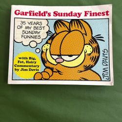 Garfield’s Sunday Finest Cartoon Book 