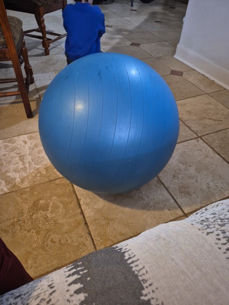 Weighted Exercise/Therapy Ball