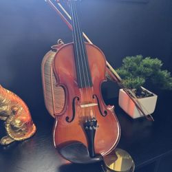 4/4 Violin With Case 