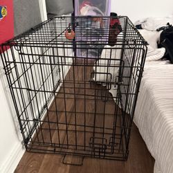 dog crate 