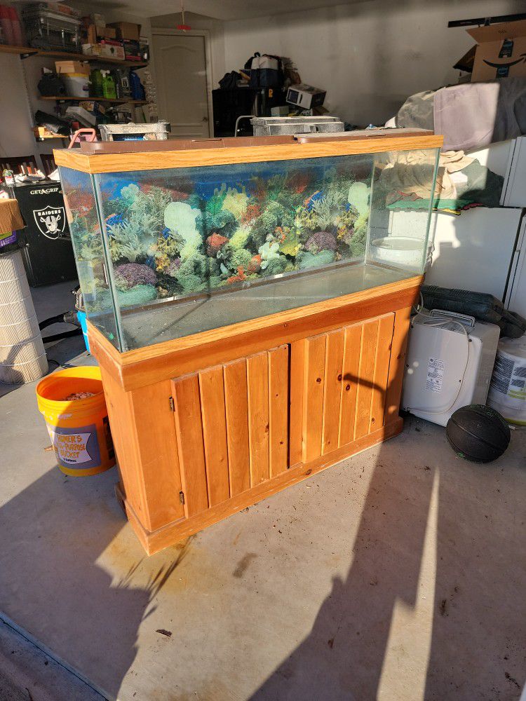 55 Gal Fish Tank with Stand and  Filters.