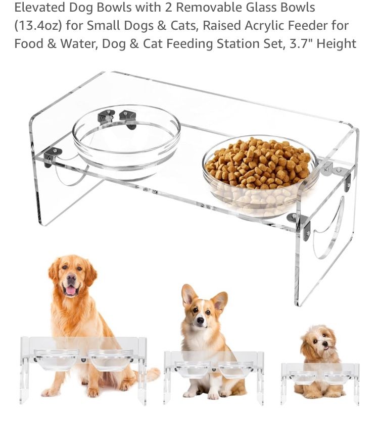 Modern Pet Feeding Station - Clear glass and acrylic