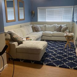 Six month old old cannery down, sectional couch