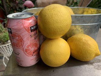 Hundred Of  Big  Juicy Lemon 25 X $5.00 