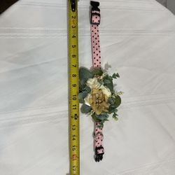 Dog Accessories 