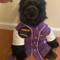 Phoenix Suns Gorilla 