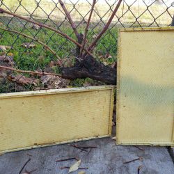 Beehive Plastic Frames