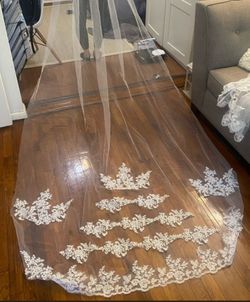 New Baige Cathedral Length Veil With Lace Trim