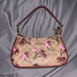 Cherry Coach Bag