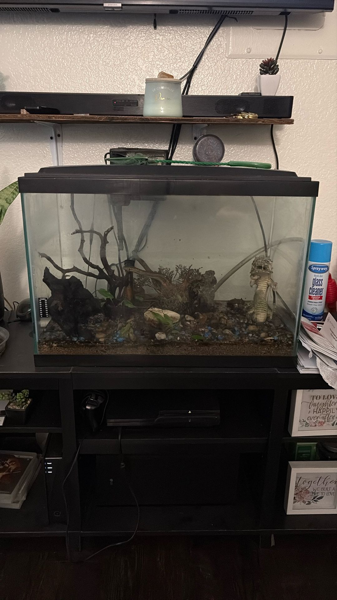 Fish Tank 25 Gal