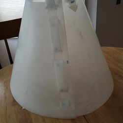 Large Dog Recovery  Cone