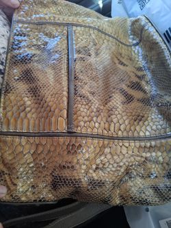 Brighton purse python