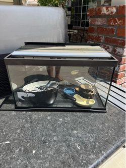 Tank 20x12