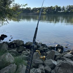 Phenix Abyss PSX-S 808 8’ 00”