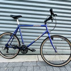 Specialized Rock Hopper 22inch